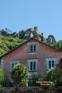 SINTRA-10