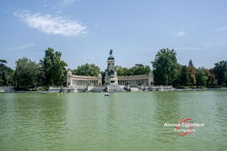 MADRID-29
