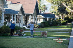 PASADENA-18