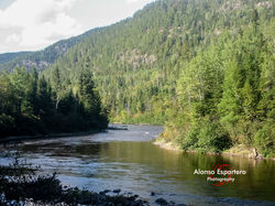 TADOUSSAC-7