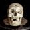 Thumbnail: Human Skull #7587