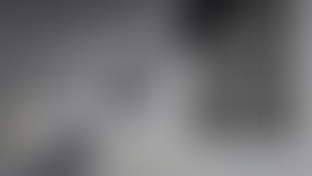 Sustainable Project Management Behaviors: Modern Approach for Success