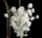 Arch or Backdrop Florals