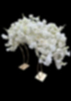 Luxury White Floral