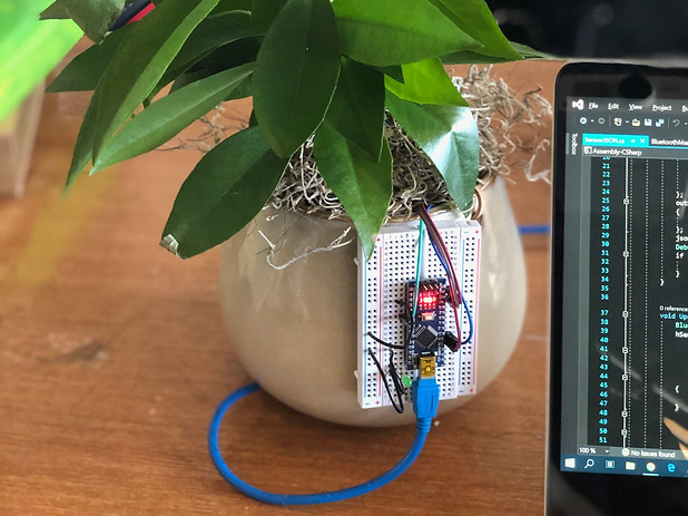 ConnectedPlant.jpg