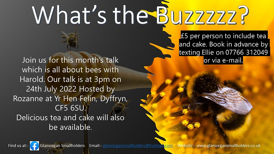what's the Buzzzzz.png