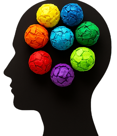 cerveau couleur_edited_edited.png