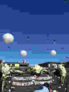 image9.jpeg