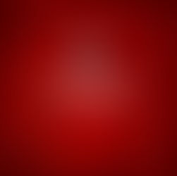 SECTION FEMININE : Le programme du 02 et 03 novembre