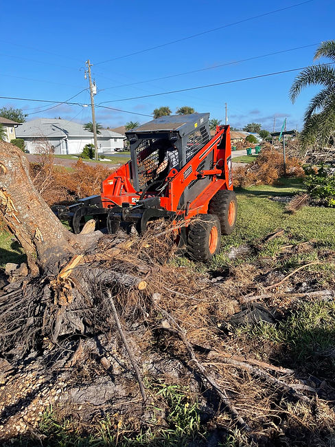 Tree trimming in Southwest, Florida. Tree maintenance in Southwest, Florida. Lawn care in Southwest, Florida. Lawn maintenance in Southwest, Florida. Lawn care in Southwest, Florida. Sod company in Southwest, Florida. Tree removal in Southwest Florida. Tree company in Southwest, Florida. Tree service in Charlotte County, Sarasota County, Lee County, Hardee County, Hillsborough County, and Manatee County. Exterior maintenance in Southwest Florida.