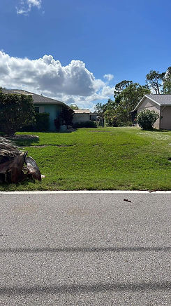 Tree trimming in Southwest, Florida. Tree maintenance in Southwest, Florida. Lawn care in Southwest, Florida. Lawn maintenance in Southwest, Florida. Lawn care in Southwest, Florida. Sod company in Southwest, Florida. Tree removal in Southwest Florida. Tree company in Southwest, Florida. Tree service in Charlotte County, Sarasota County, Lee County, Hardee County, Hillsborough County, and Manatee County. Exterior maintenance in Southwest Florida. .jpg