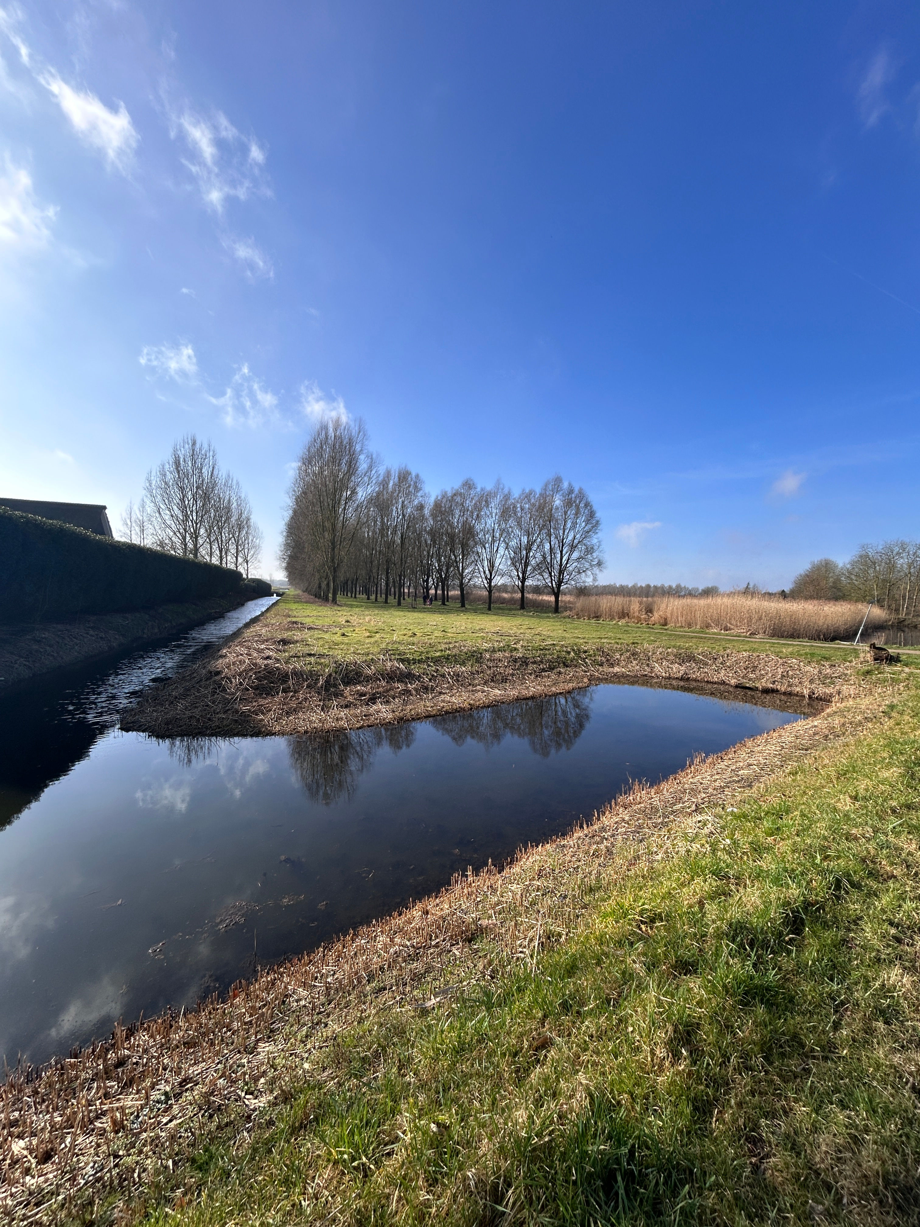 Wandelen in het mooie Hendrik Ido Ambacht. Niet ver van Rotterdam en heel landelijk. Heerlijk Genieten