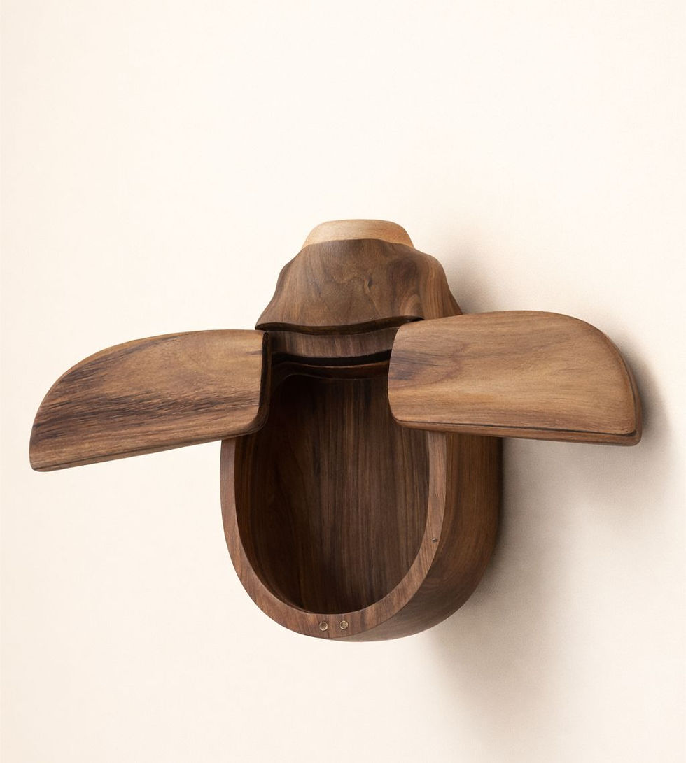 Miniatura: CAIXA BUG