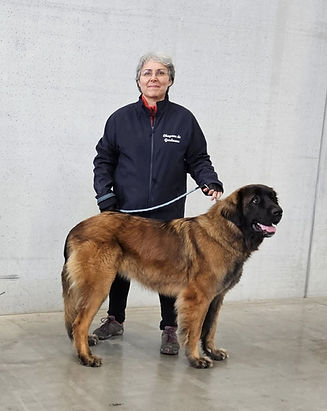 vidocq vesta metz 25 1.jpg