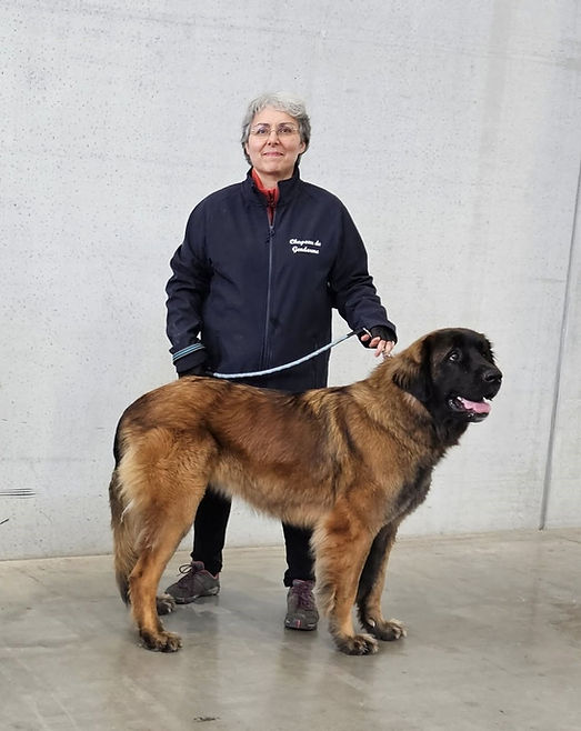 vidocq vesta metz 25 1.jpg