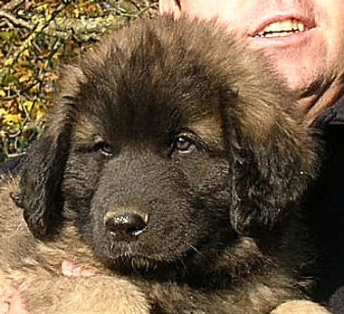Christoffel du Chapeau de Gendarme