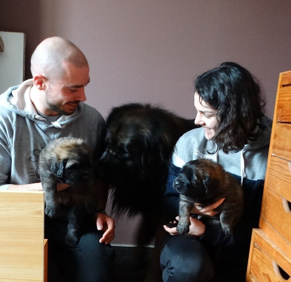 Miniature : Les bébés de Skadi, Ubie et Uka