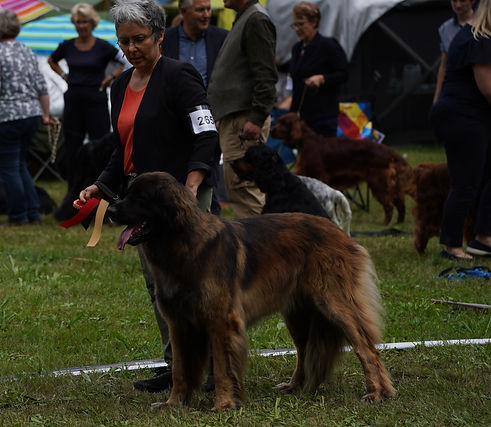 DSC03568 - Copie.JPG