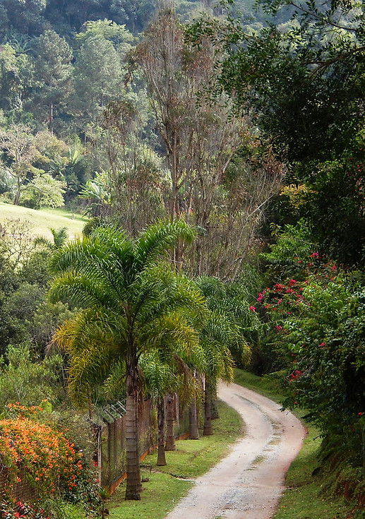 Estrada do Vinho em São Roque