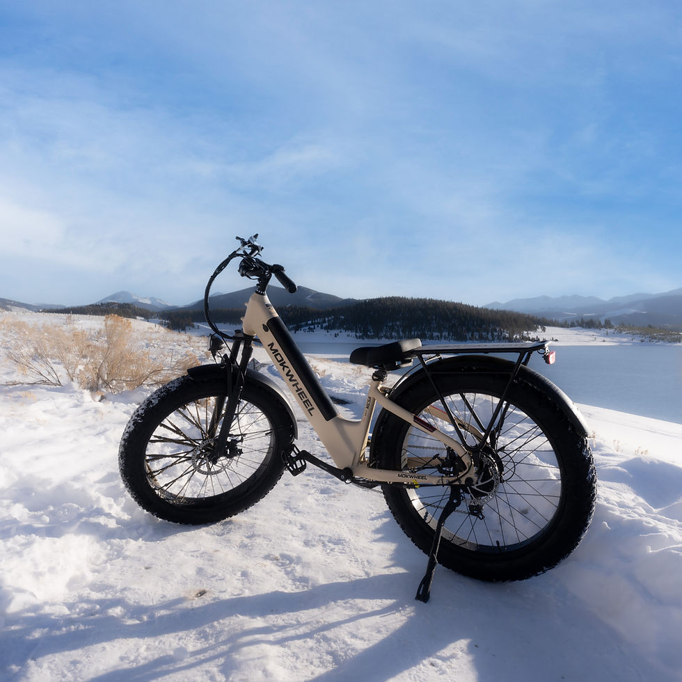 Mokwheel E-Bike Campaign