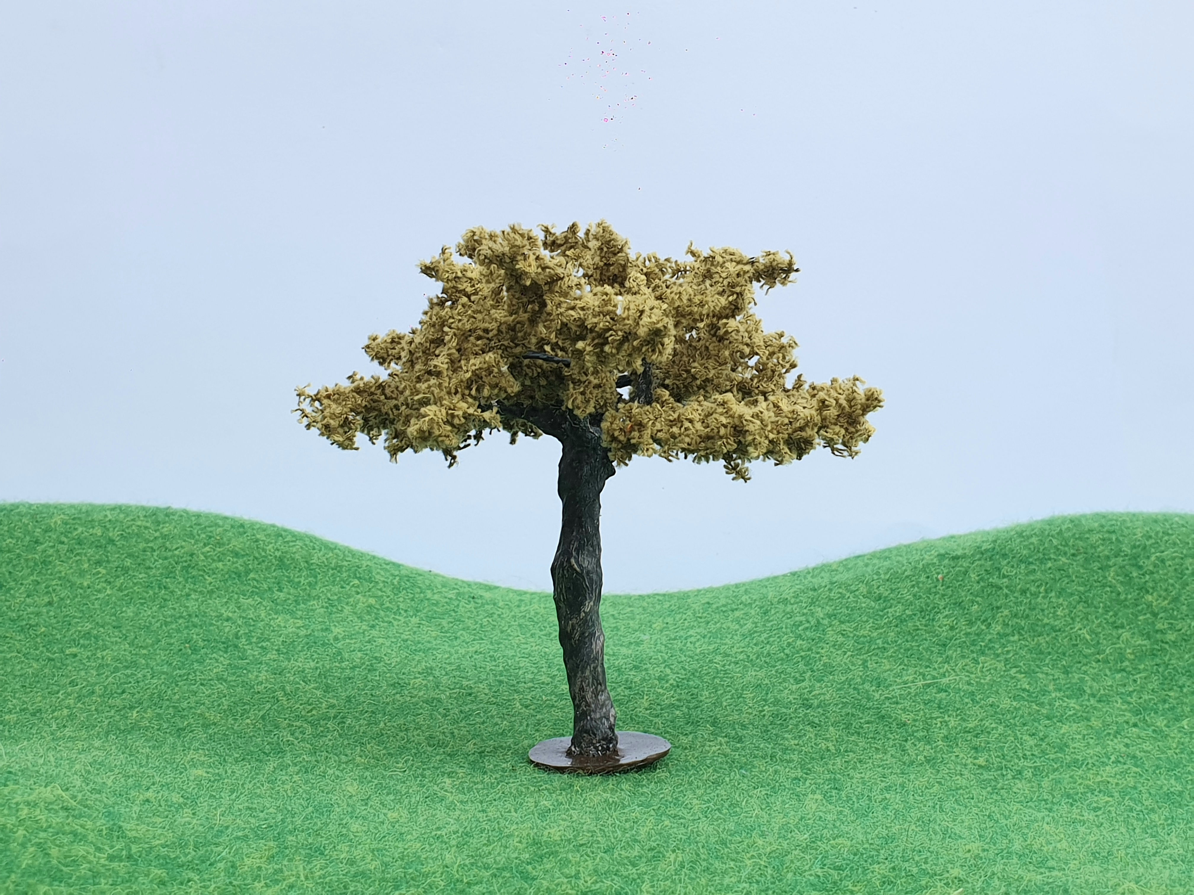 Arbre (Pommier)