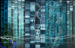 RESEARCH COLLAGE DNA