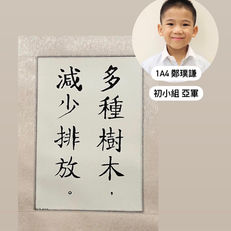 【 書為心畫，字如其人。✨】