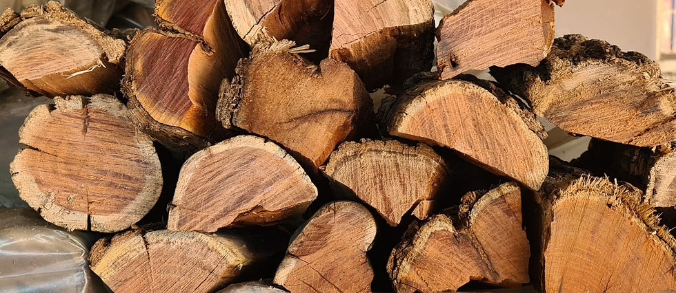 Exploring the Types of Braai Wood