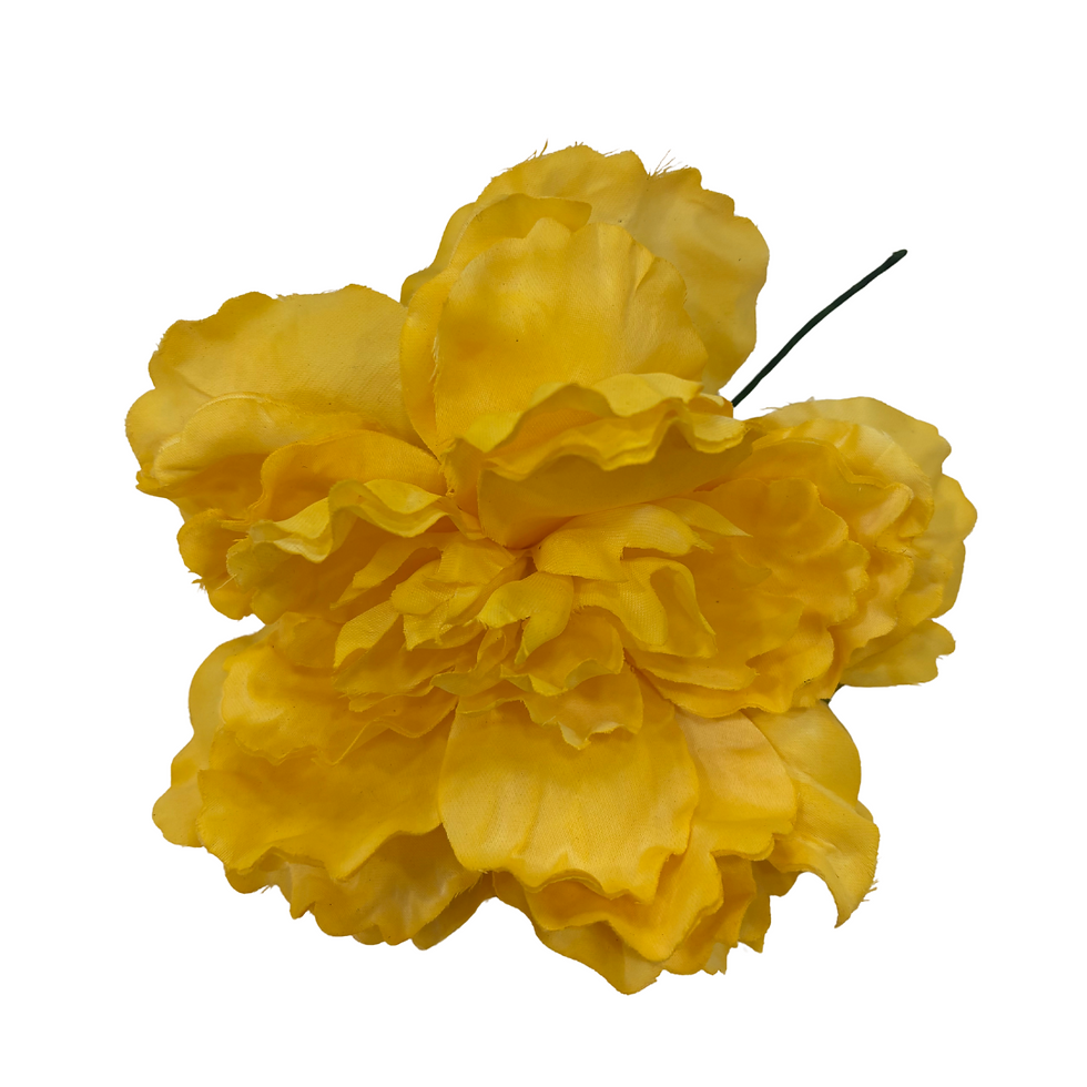 Peonia Grande Yema Teñida