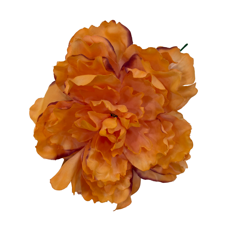 Peonia Grande Naranja/Combinada Teñida