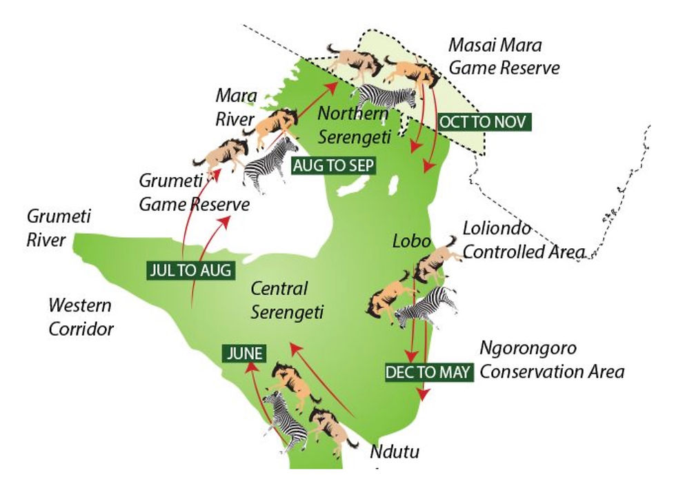 Serengeti National Park with migration route (Source: here)