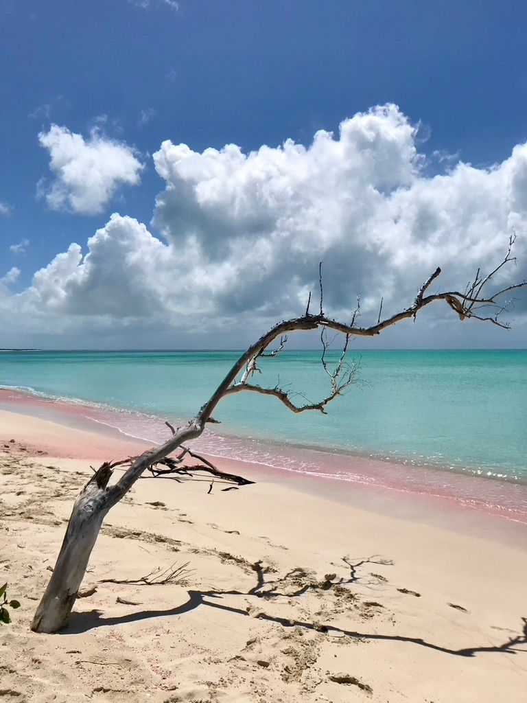 Barbuda