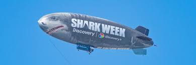 Bite Me: Thoughts on Shark Week 2025