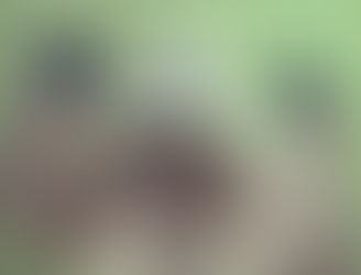 Notes & Nuggets: The Twelve Songs of Christmas