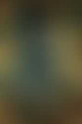 Book Review: The Western Wind by Samantha Harvey