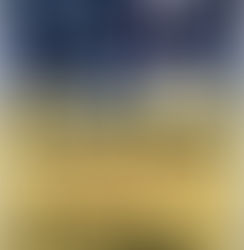 Review: Mr. Inside and Mr. Outside by Jack Cavanaugh