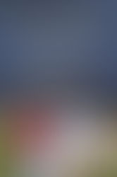 Book Review: Sidelines and Bloodlines by Ryan McGee