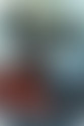 Book Review: The Sarvan by Douglass Hoover