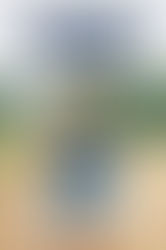 Book Review: Choosing to Run by Des Linden