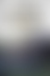 Book Review: Hard to Handle by Steve Gorman and Steven Hyden