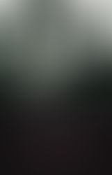 Book Review: A Light That Never Goes Out by Tony Fletcher