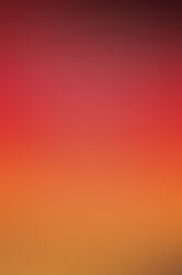 Book Review: The Mosquito Bowl by Buzz Bissinger