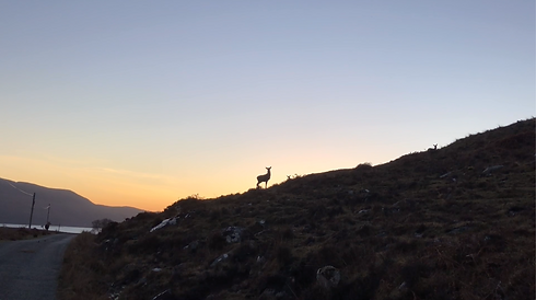 Screenshot 2021-04-03 at 15.21.07.png