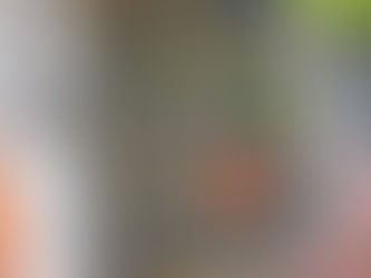 Plants for the Planet: How Vegan Diets Help the Environment