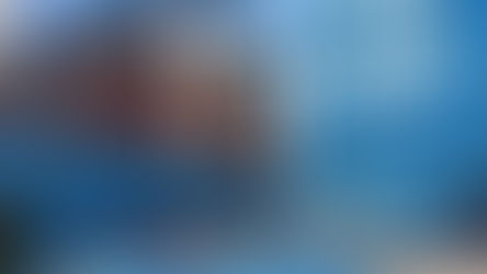 美国启动 301 调查：覆盖 16 经济体、60 + 国家