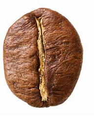robusta.PNG
