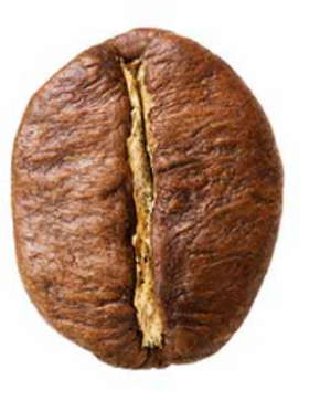 robusta.PNG