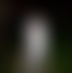 Novas estampas na loja!