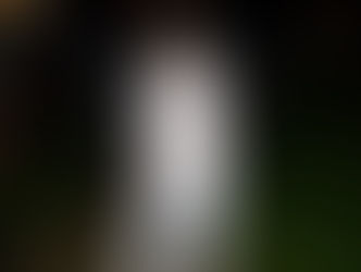 Novas estampas na loja!