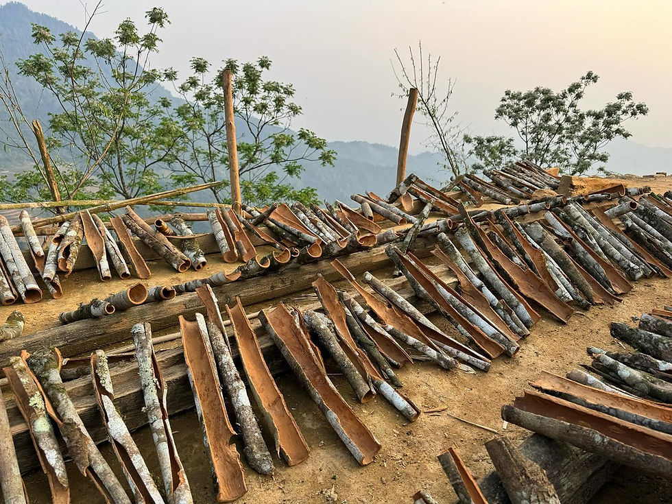 Thumbnail: Giàng Pằng Spring 2025